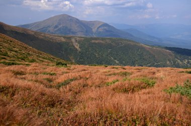 Hoverla Ukrayna Karpat Dağları'nın dağ taş doruklarına güzel görünümünden antik kozalaklı ormanlarda ve sonbahar sarı çim kaplı