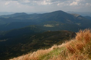 Hoverla Ukrayna Karpat Dağları'nın dağ taş doruklarına güzel görünümünden antik kozalaklı ormanlarda ve sonbahar sarı çim kaplı