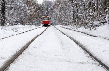 Kırmızı tramvay sürmek kış ormandaki ağaçların arasındaki beyaz karla kaplı. Aralık ayında