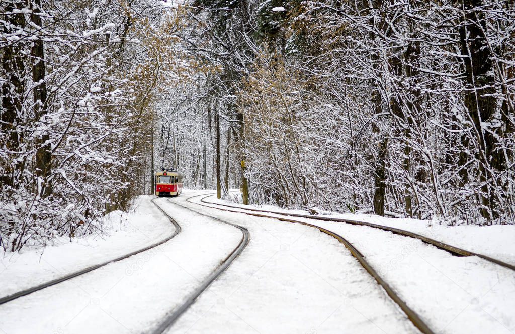 Red Tram rides through the winter forest between the trees covered with white snow. In December
