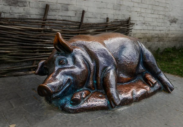 Cerdo Bronce Con Hocico Contento Está Acostado Lado Cerca Una — Foto de Stock