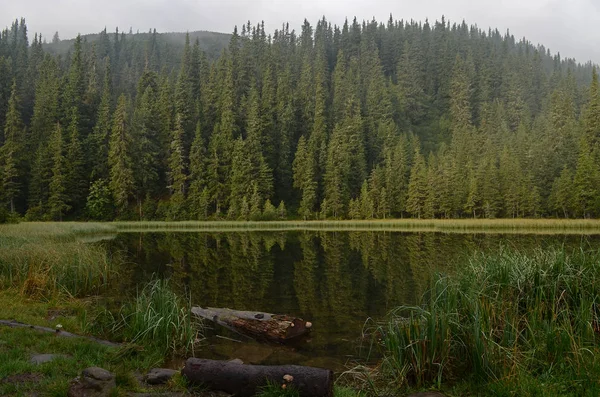 Horské Jezero Mlha Horách Fantastický Ranní Mlha Krajina Kopce Vztahuje — Stock fotografie