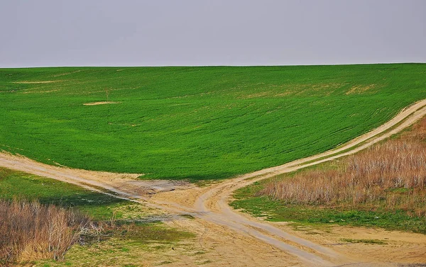 Dirt Road Goes Spring Green Field Horizon Sky Background — Stock Photo, Image