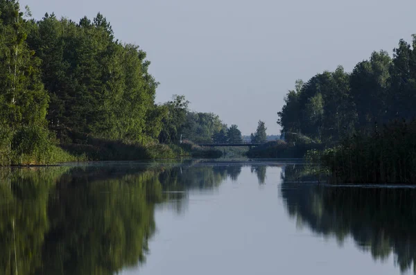 Blue River Przepływów Horyzoncie Nad Brzegiem Rzeki Rosną Wysokie Drzewa — Zdjęcie stockowe