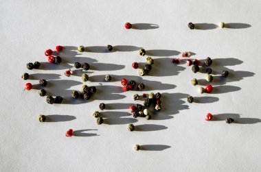 Renkli biberler, beyaz arkaplanda sert gölgeler yatıyordu. Metin için boş boşluk