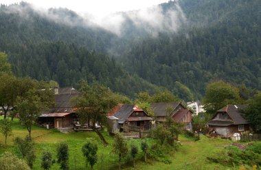 Sabah sis Karpatlar dağlarında