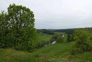 Baharda Ukraynalı peyzaj. Nehir silüetinin kıyısında yeşil çim ile kaplı alanlar