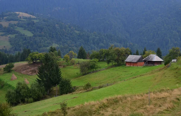 Ochtend mist in de bergen van de Karpaten — Stockfoto