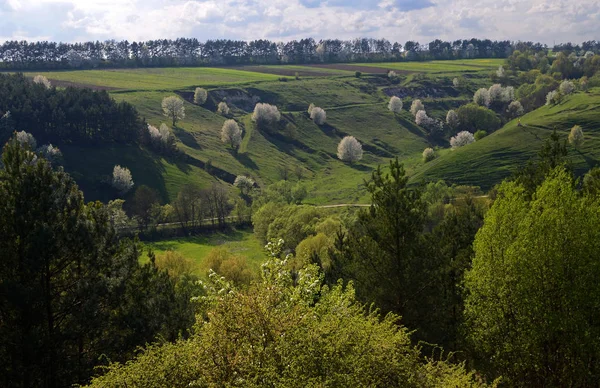 Ogromna rzeka Dniestru płynie między wysokimi stromymi wzgórzami pokrytymi wiosną bujną zieloną trawą przed błękitnym niebem — Zdjęcie stockowe