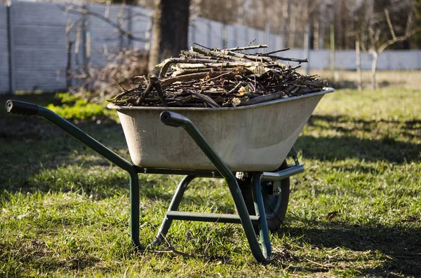 Tuinwerk. Gesnoeide takken van jonge bomen liggen in een kruiwagen, die in de tuin staat — Stockfoto