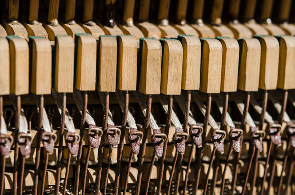 Старые деревянные клавиши пианино под лучами солнца
