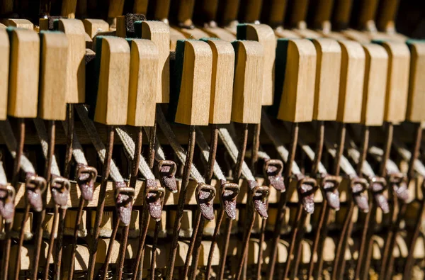 Claves de piano de madera antiguas bajo los rayos del sol —  Fotos de Stock