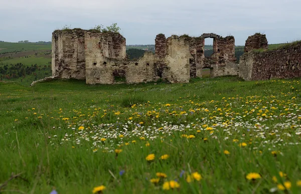 古堡的废墟就在田野里, 在那里生长着春天的草和春天的花朵, 与深蓝色的天空相对应 — 图库照片