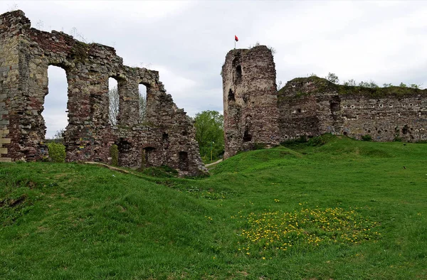 Ruinerna av det gamla slottet är i fält, där växande vårgräs och vår blommor mot mörkblå himmel — Stockfoto