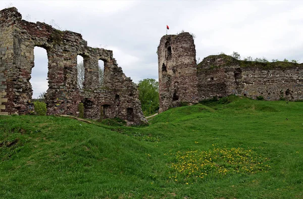 The ruins of the ancient castle are in the field, where growing spring grass and spring flowers against dark blue sky — Stock Photo, Image