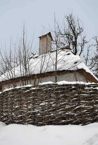 Stare drewniane domy pod dachem krytym strzechą pokryte śniegiem i Woodpile stoją w pobliżu starych drzew. — Zdjęcie stockowe