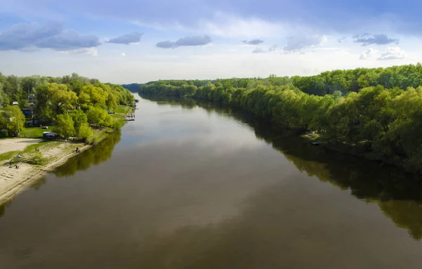 Відстежити широку річку з високими зеленими деревами на березі на тлі блакитного неба — стокове фото
