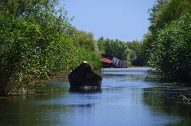 Turizm kenti Vilkovo su üzerinde bir şehirdir. Tuna Nehri kıyısındaki şehir. 10 Haziran 2014, Odessa bölgesi