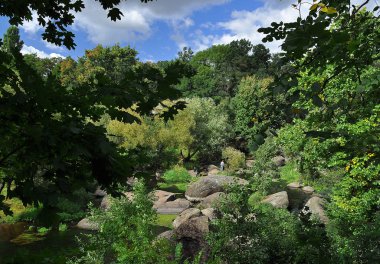 Nehirde, mavi gökyüzüne karşı uzanan yüksek yeşil ağaçların arasında kocaman kayalar var.