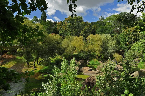 Enorme rotsblokken liggen in de rivier tussen hoge groene bomen tegen de blauwe lucht — Stockfoto