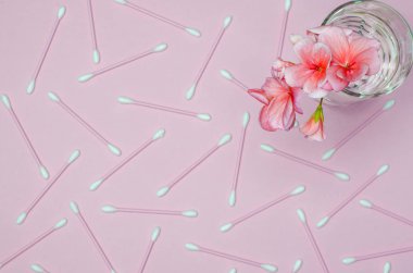 Bir cam kabı temiz su hassas mercan renkli bir arka plan ile bir Sardunya çiçeği mercan rengi gibi duruyor