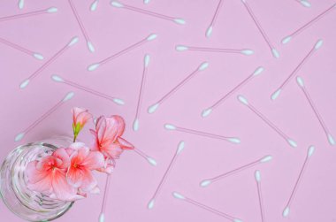 Bir cam kabı temiz su hassas mercan renkli bir arka plan ile bir Sardunya çiçeği mercan rengi gibi duruyor