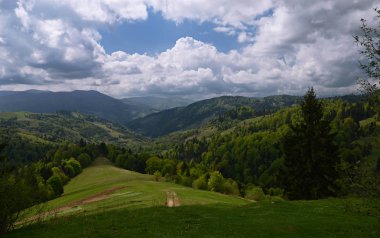 Karpat Dağları'nın alp sırtları, mavi gökyüzünün arka planında beyaz bulutlarla kaplı asırlık ormanlarla çevrilidir.