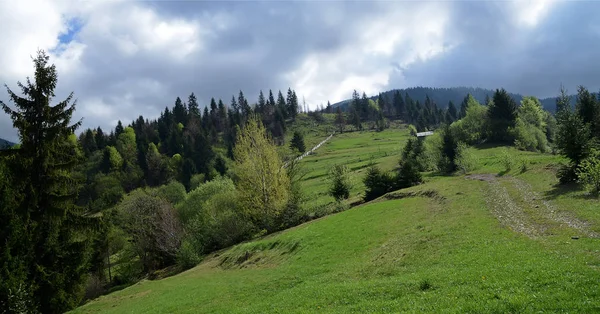 Альпийские хребты Карпат окружены вековыми лесами на фоне голубого неба с белыми облаками. — стоковое фото