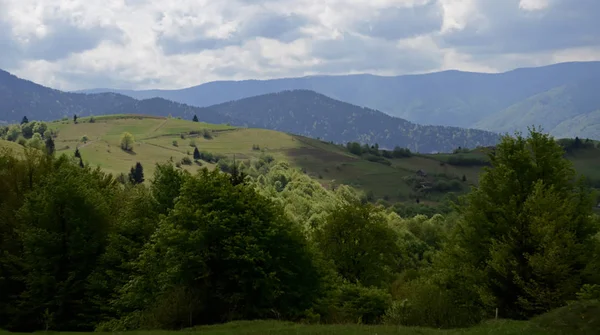 Les crêtes alpines des Carpates sont entourées de forêts centenaires sur le fond du ciel bleu avec des nuages blancs — Photo