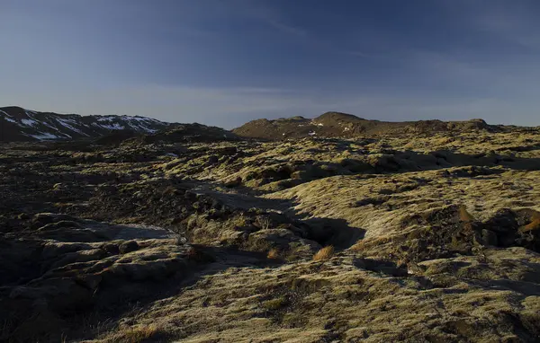 Τεράστια παλιά χωράφια λάβας υπερφυλαμένα με Ισλανδικά βρύα σε ανοιχτό σμαράγδι χρώμα — Φωτογραφία Αρχείου