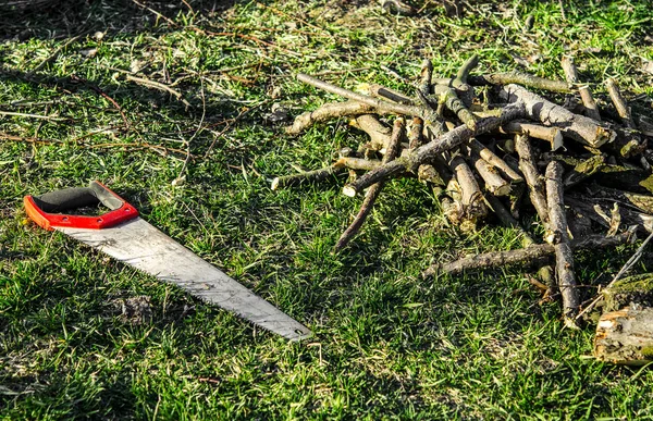 Gartenarbeit. Handsäge mit rotem Griff ruht auf grünem Gras neben abgemähten Ästen — Stockfoto