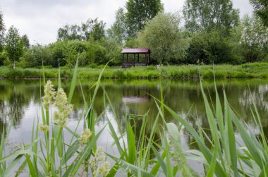 Meditasyon ahşap çardak için bir yer genç ağaçların yanında Gölün kıyısında duruyor