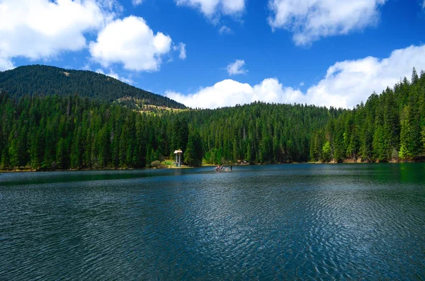 El reflejo del cielo azul, las montañas y el bosque de pinos en el lago alpino Synevyr en los Cárpatos ucranianos — Foto de Stock