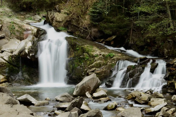 Orman akan şelale yüksek Karpatlar dağlarında gürültü ile ormanın bir arka plan aşağı akar