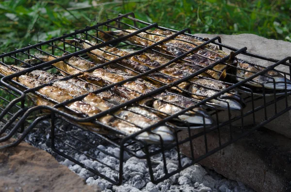 De makreel vis ligt op de grill en wordt gekookt boven een open vuur. Close-up — Stockfoto
