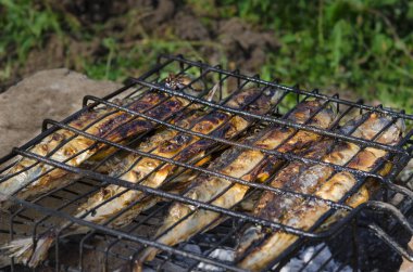 Uskumru balık ızgarada yatıyor ve açık bir yangın üzerine pişirilir. Close