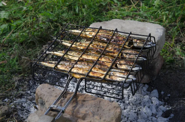 De makreel vis ligt op de grill en wordt gekookt boven een open vuur. Close-up — Stockfoto