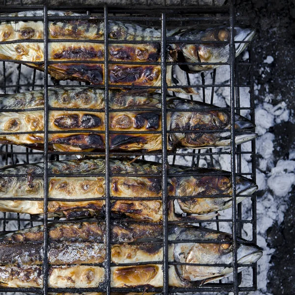 De makreel vis ligt op de grill en wordt gekookt boven een open vuur. Close-up — Stockfoto