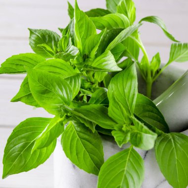 Masada beyaz mermer harç taze yeşil fesleğen