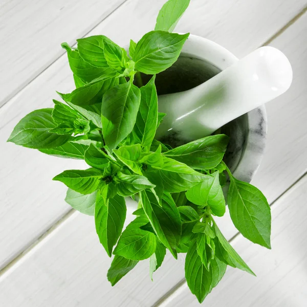 Fresh green basil in a white marble mortar on the table — Stock Photo, Image