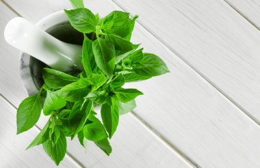 Masada beyaz mermer harç taze yeşil fesleğen