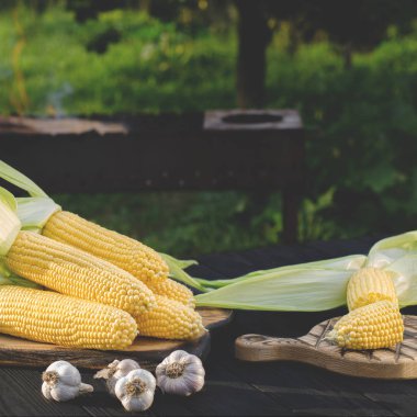 Yeşil yaprakları ile Sarı sulu mısır bir ızgara fon karşı yaz bahçesinde ahşap bir masa üzerinde yatıyor