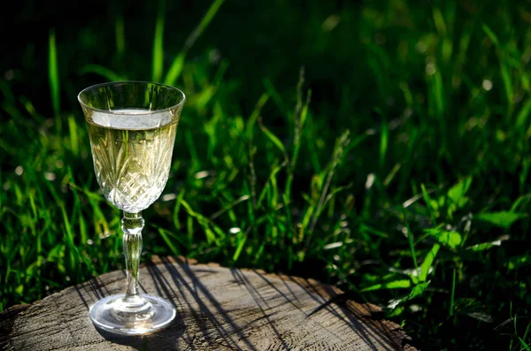 A glass of white wine on nature background. — Stock Photo, Image