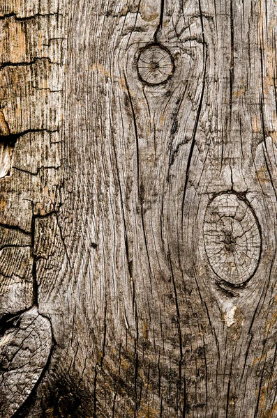 Szüreti év sötét barna fa háttér textúra közelről — Stock Fotó