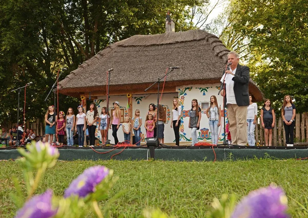Augusztus 18, 2012-Sorochinsky Fair-egy hagyományos éves vásár található Poltava régióban, a falu Sorochintsy, Myrhorod kerület — Stock Fotó
