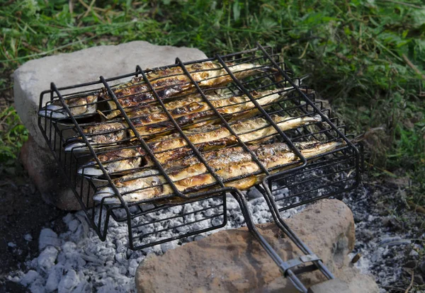 Picknick. Verse zeevis kookt op een rooster op hete kolen — Stockfoto