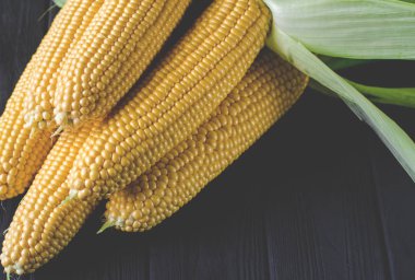 Yeşil yaprakları ile taze sulu sarı mısır bonduel ahşap masa üzerinde yatıyor