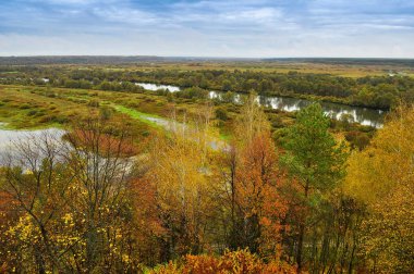 Sonbahar manzara: sarı yaprakları ile ağaçlar karanlık gökyüzü ortasında soğuk bir sonbahar nehrinin kıyısında büyümek