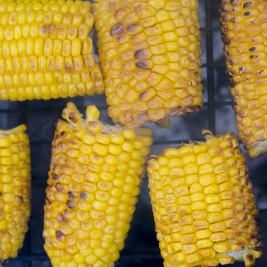 Barbekü Izgara kavrulmuş tatlı mısır