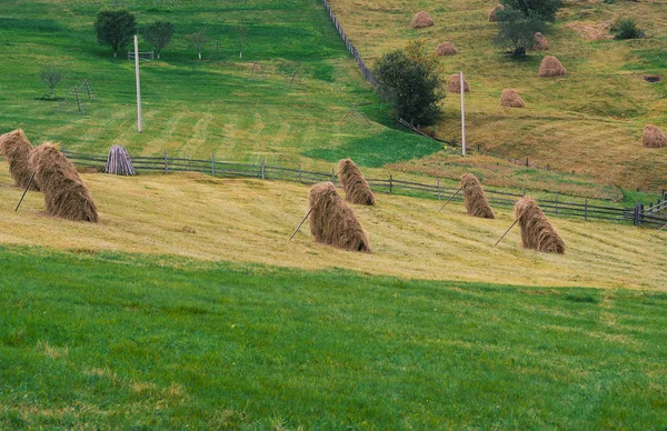 High-altitude fields with typical open air hayfields — Stock Photo, Image